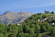 Spettacolo di fiori ai prati della Pigolotta di Valtorta il 9 maggio 2020  - FOTOGALLERY